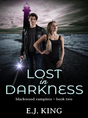 cover image of Lost in Darkness